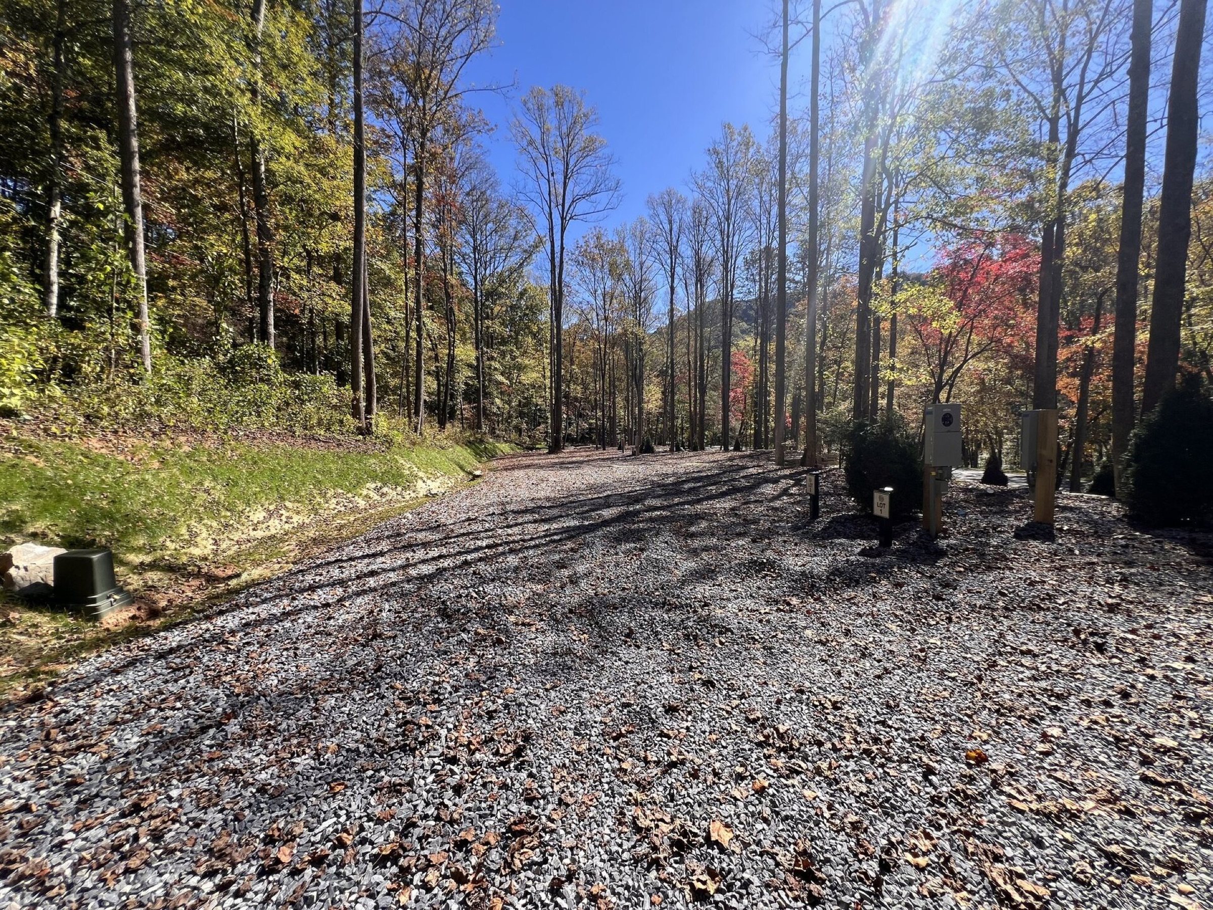 A wooded gravel lane at Poplar Creek