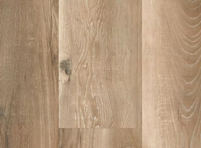 Seaboard Oak swatch